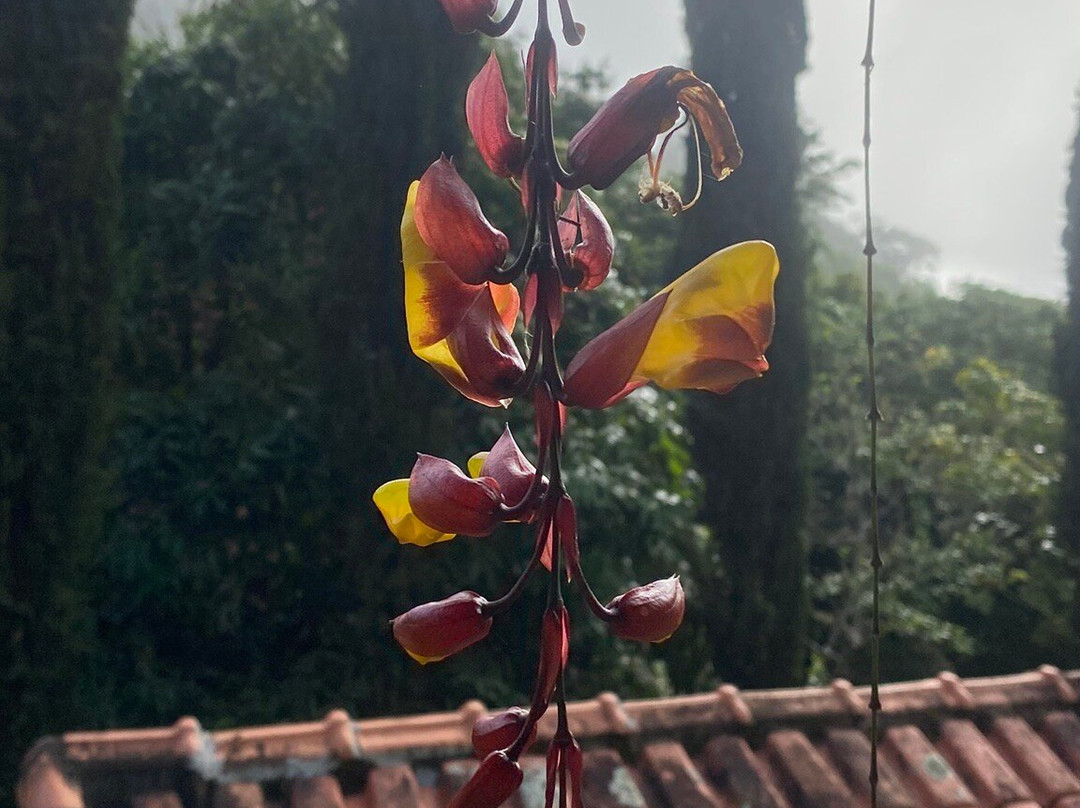 Pousada Araucaria主图