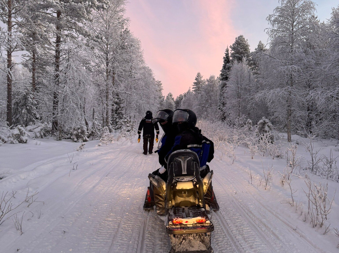 Pyhä Safaris-Pyhatunturi必去景点