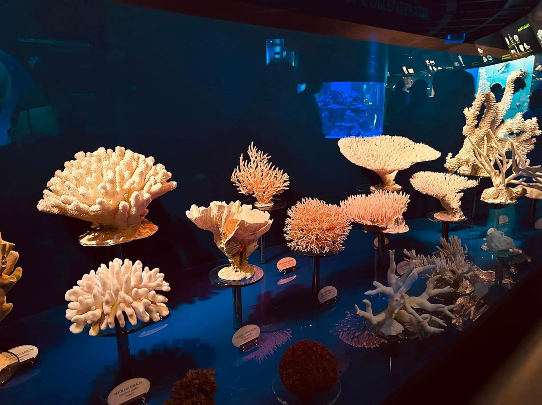 Lithuanian Sea Museum景点图片