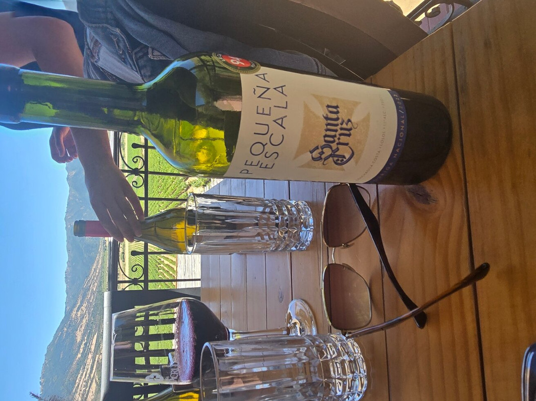 Viña Santa Cruz-Lolol必去景点