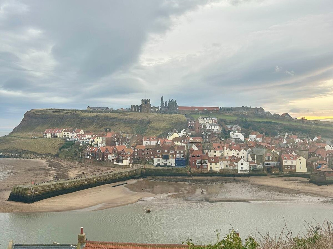 The Shepherd's Purse主图