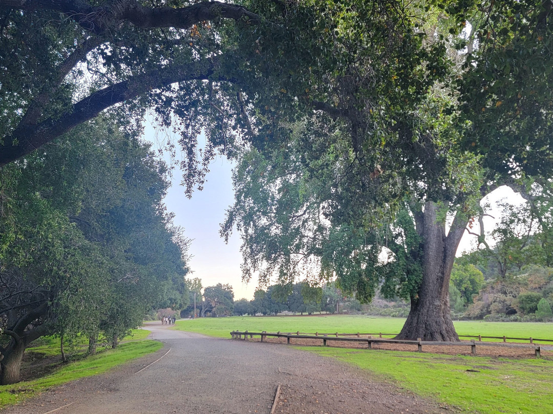 Rancho San Antonio Open Space Preserve-Los Altos Hills必去景点