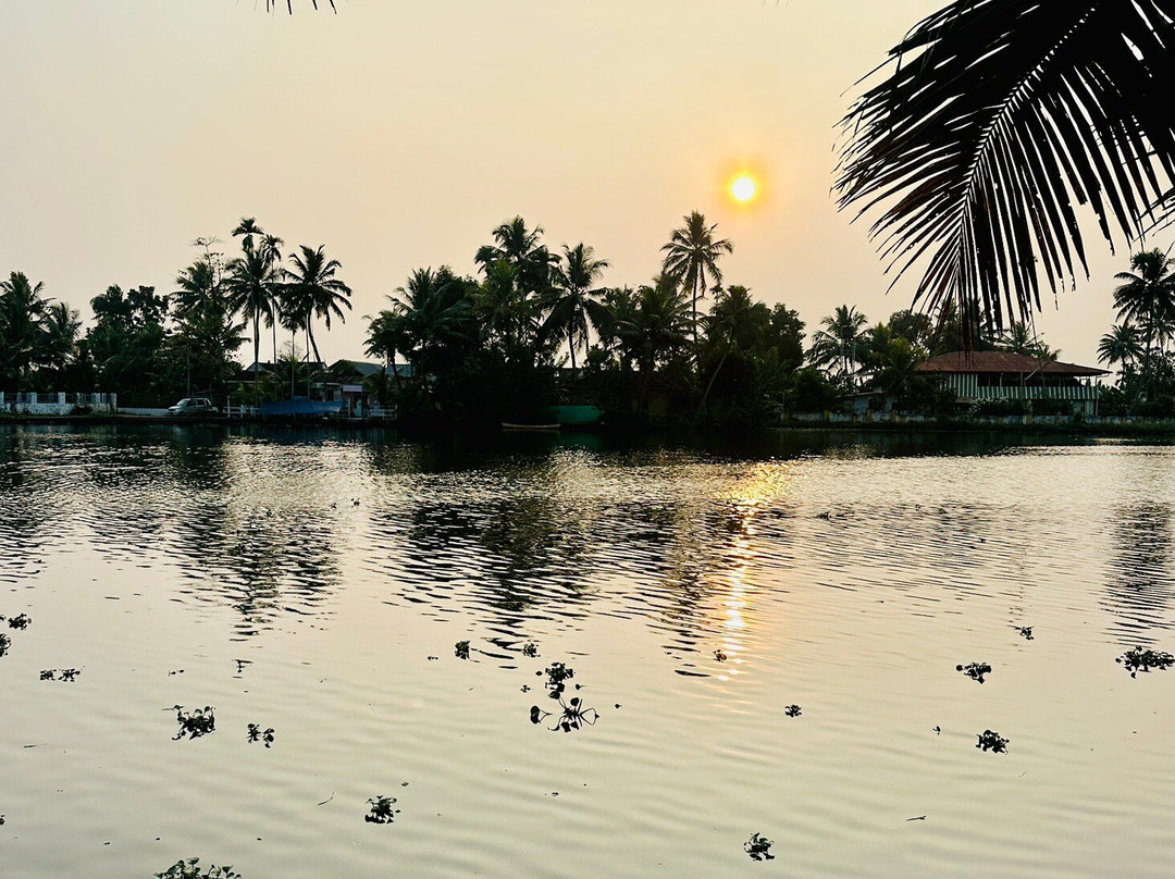 Green Palm Homes主图