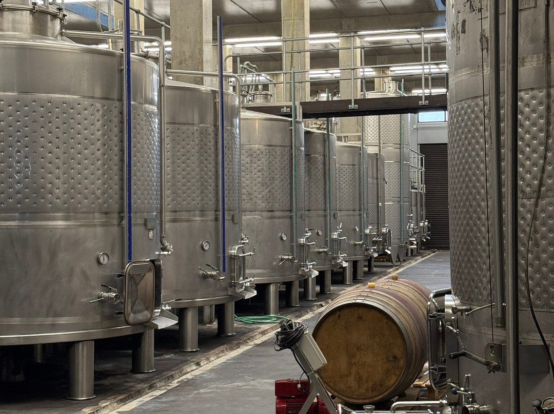 Ixsir-Batroun必去景点