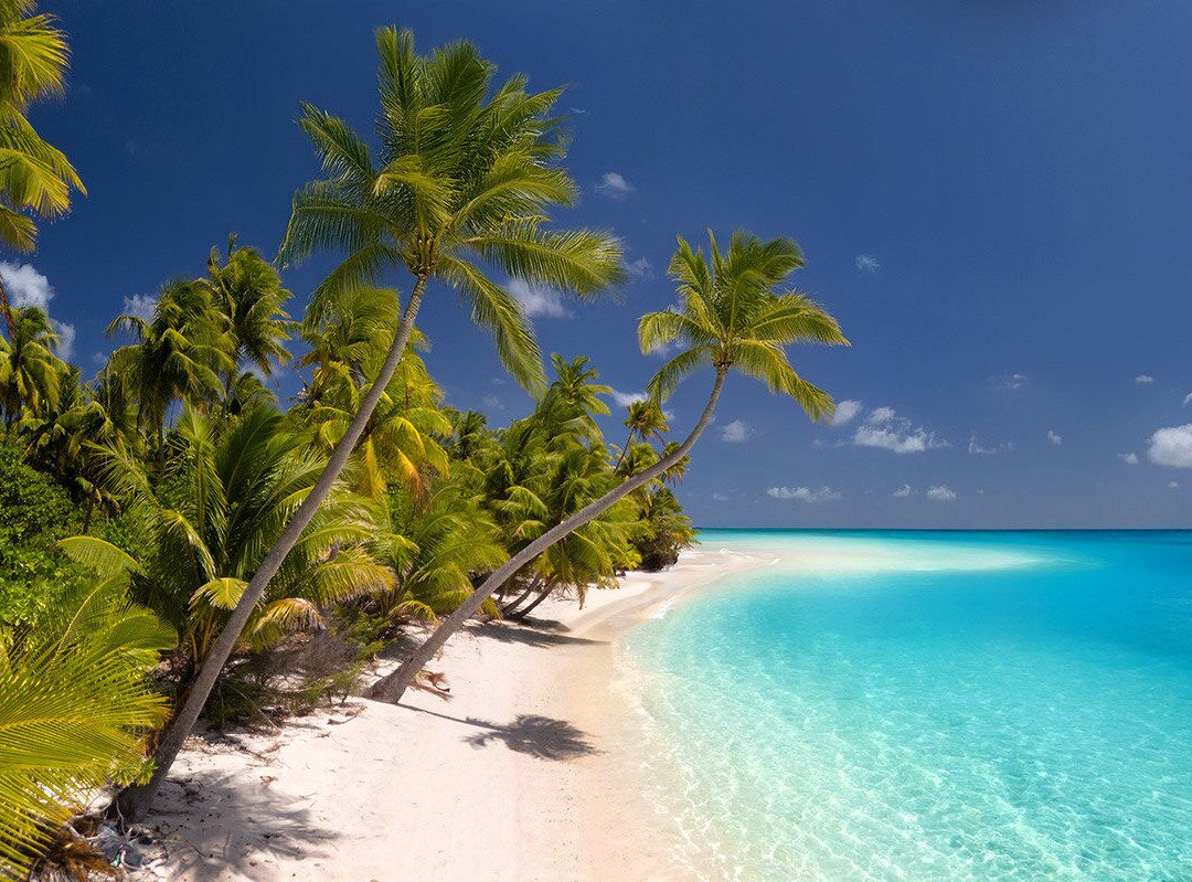 Fakarava beaches-Fakarava必去景点