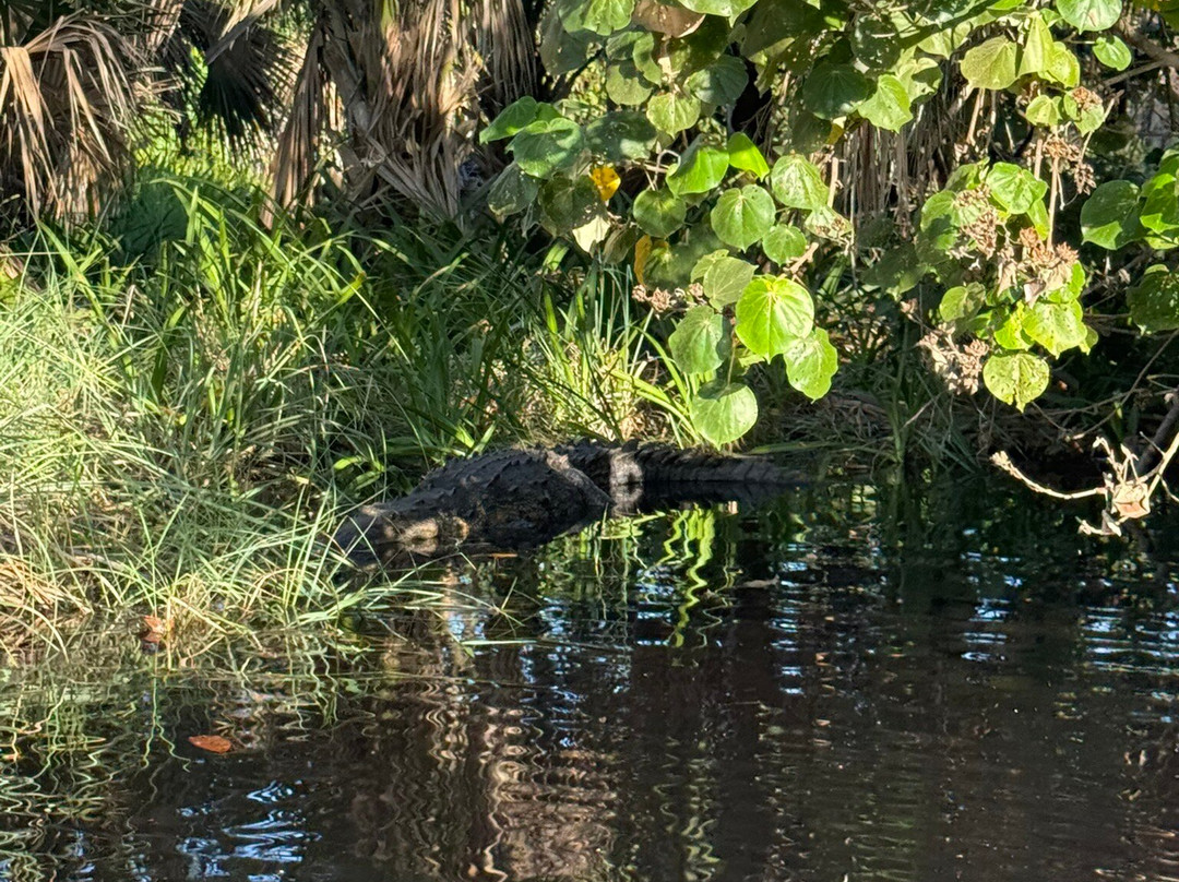 Laguna Ventanilla-Mazunte必去景点