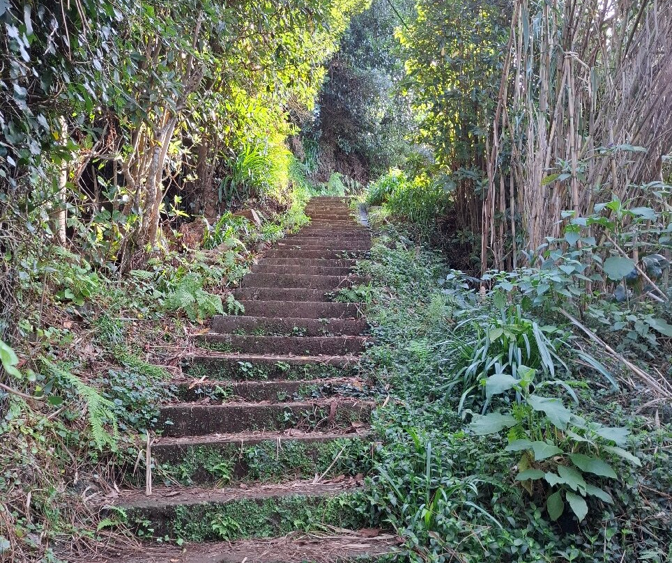 Aguage Waterfall