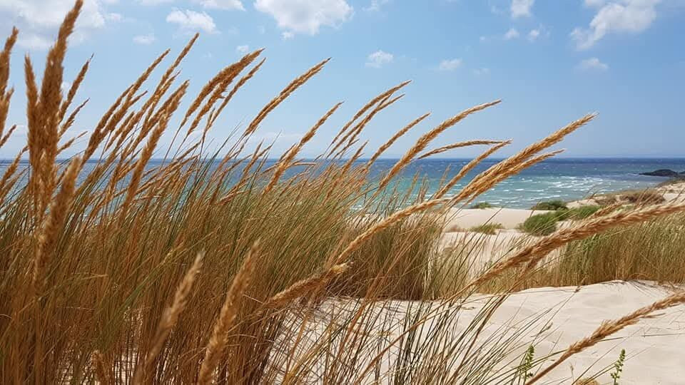 Playa de Valdevaqueros景点图片