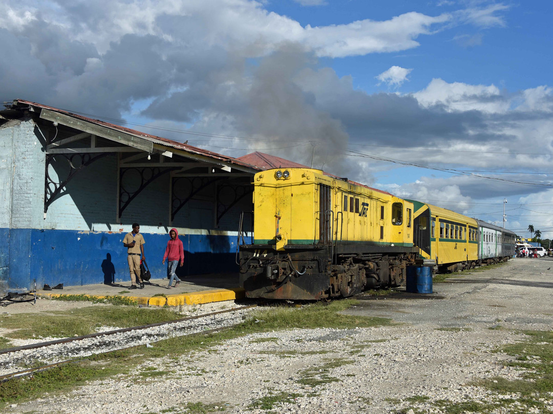 Your Jamaican Tour Guide景点图片