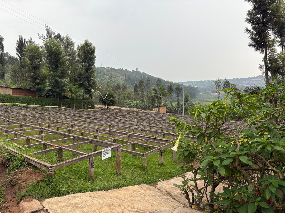 Huye Mountain Coffee景点图片