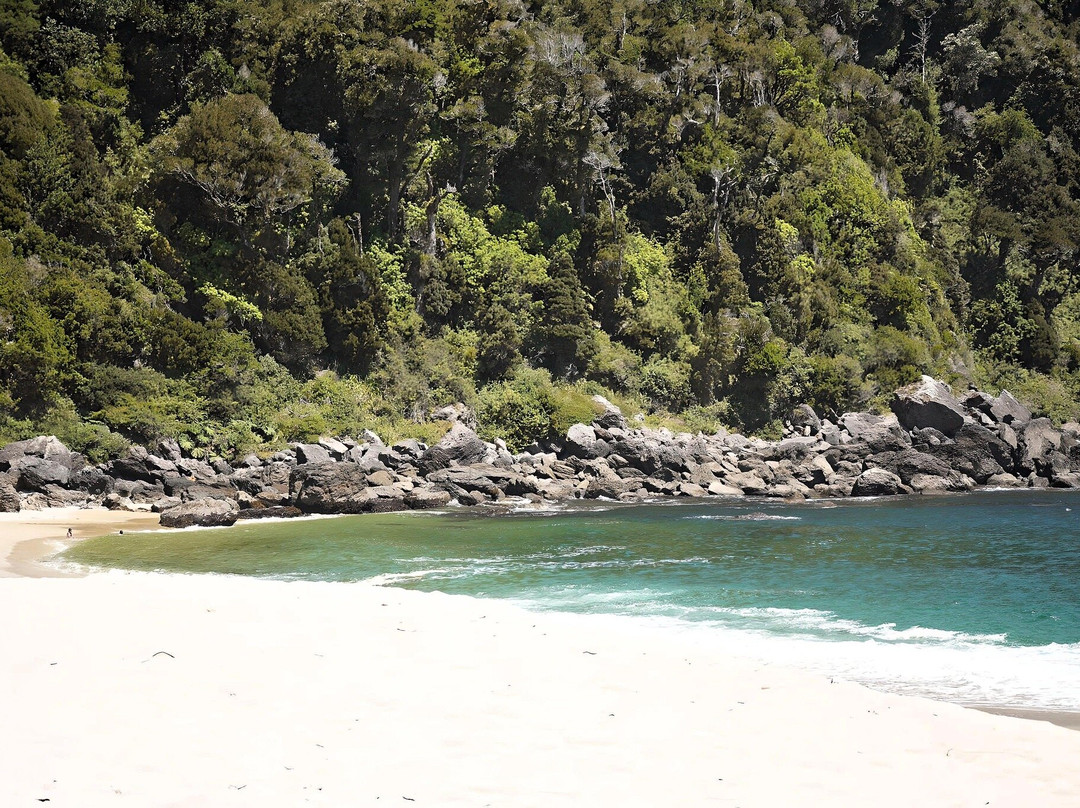 Caleta Cóndor-Osorno必去景点