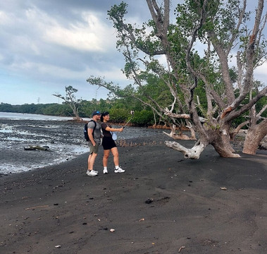 null-西巴厘岛国家公园