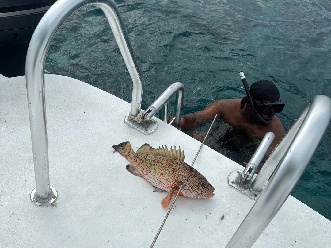 Lady Turkuoise-普罗维登西亚莱斯必去景点