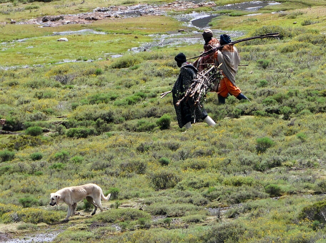 Birds and Beyond-Himeville必去景点