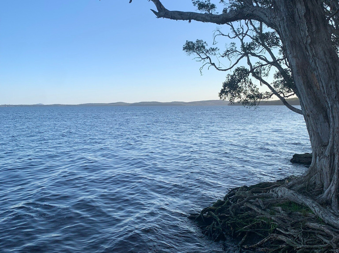 迈奥尔海岸自然度假村主图