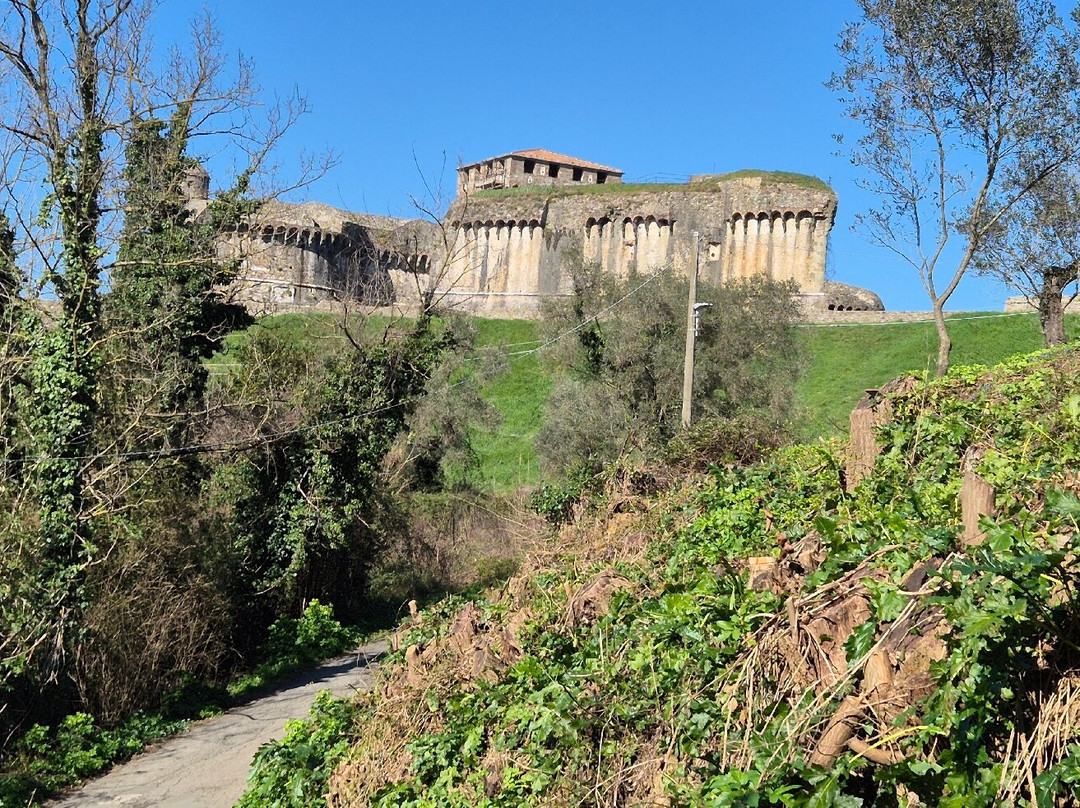 Fortezza di Sarzanello景点图片