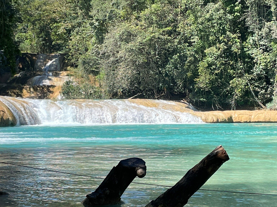 Cascadas de Agua Azul-帕伦克必去景点