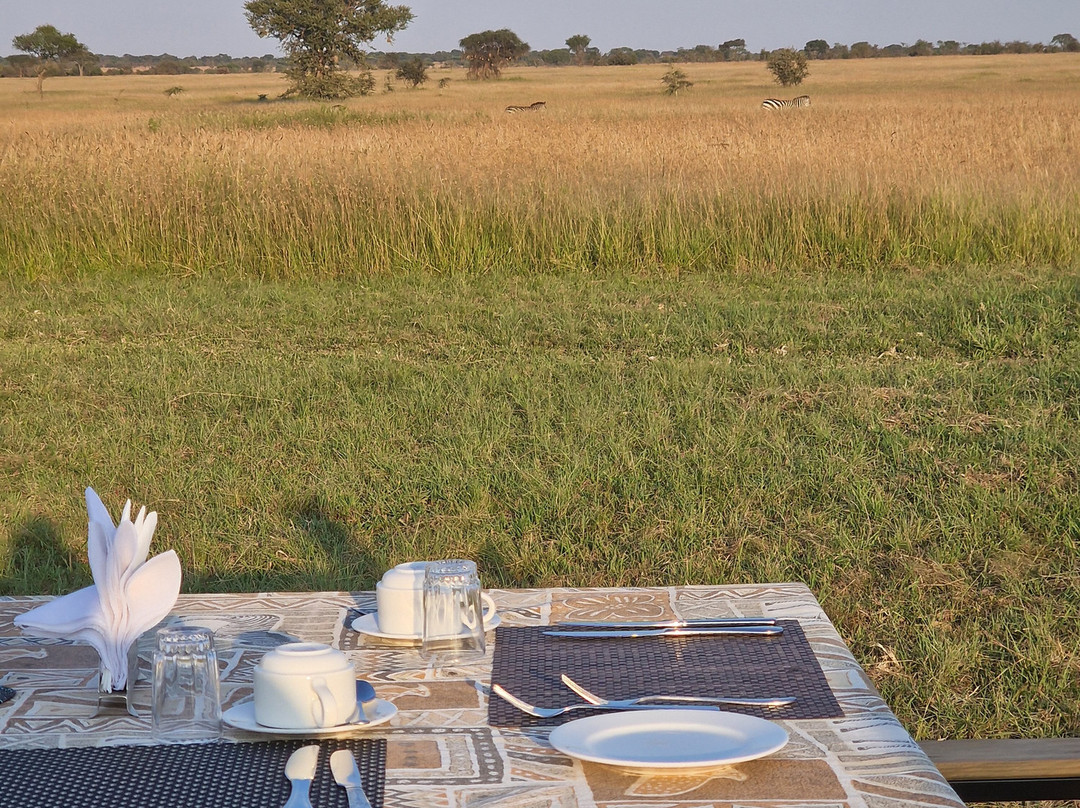 Glimpse of Africa Tented Camp-Ikoma必去景点
