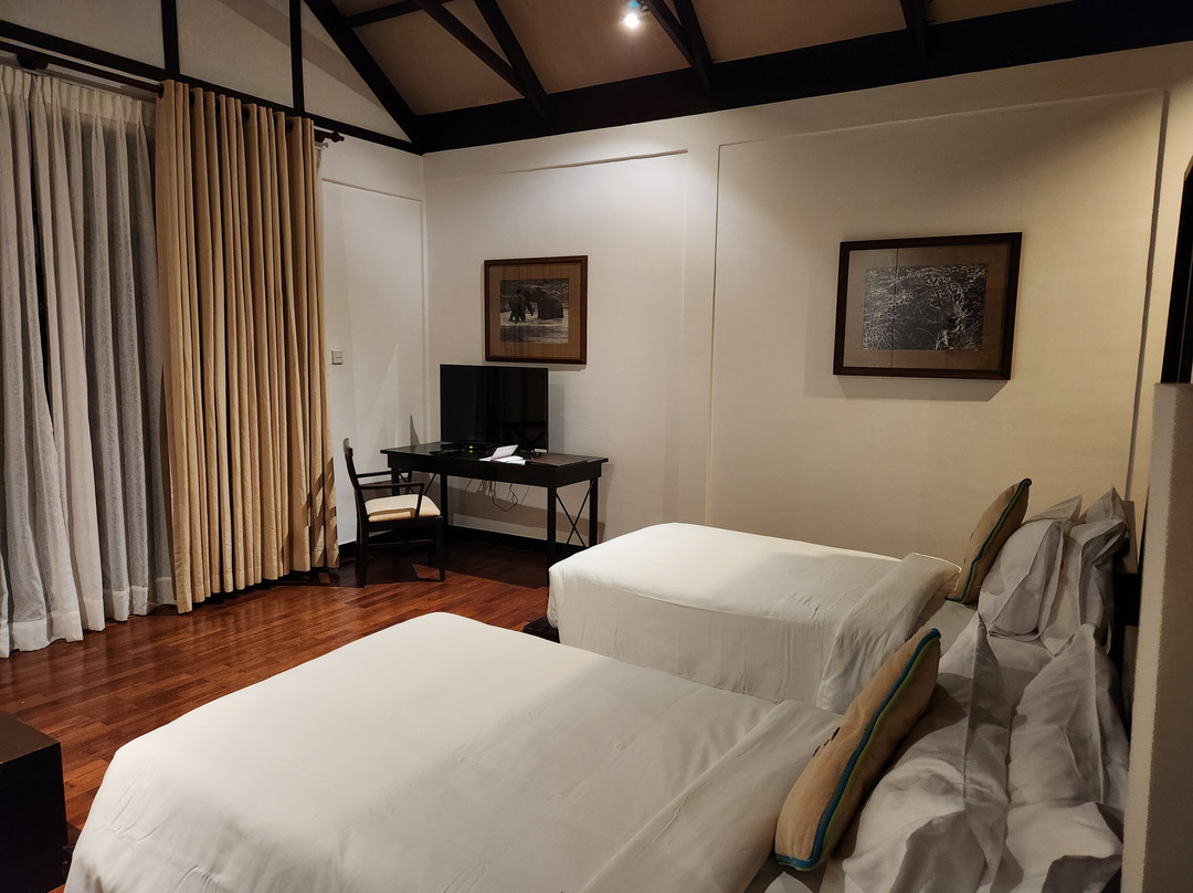 丛林海滩度假村主图