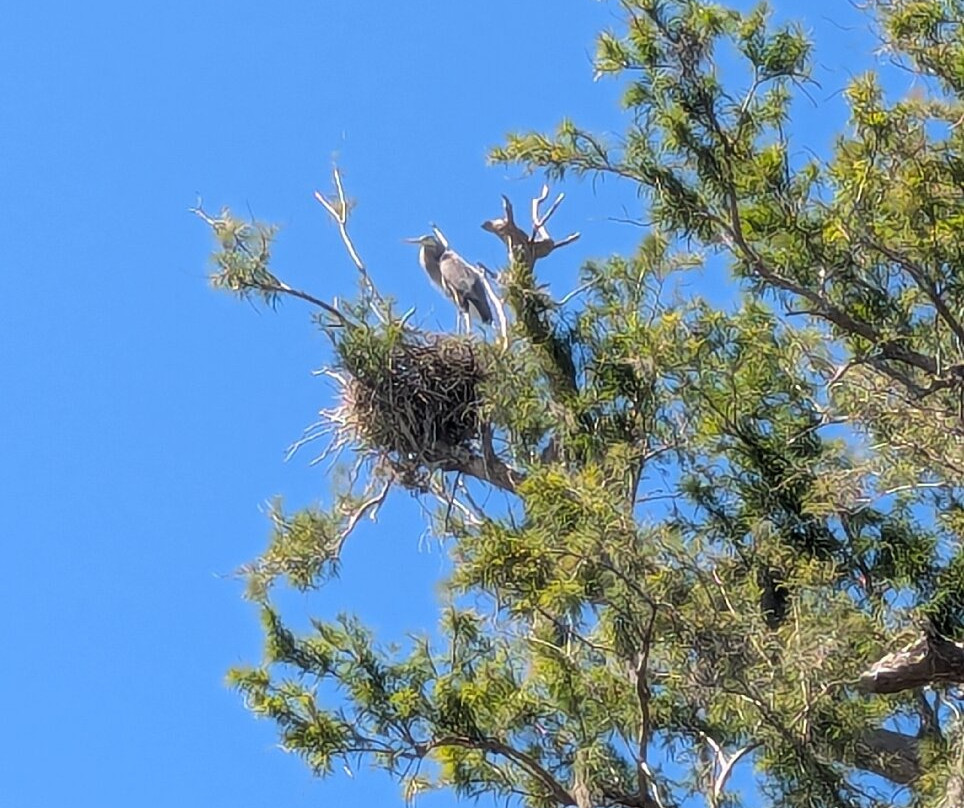 Kayak Eco Tours-阿卡迪亚必去景点