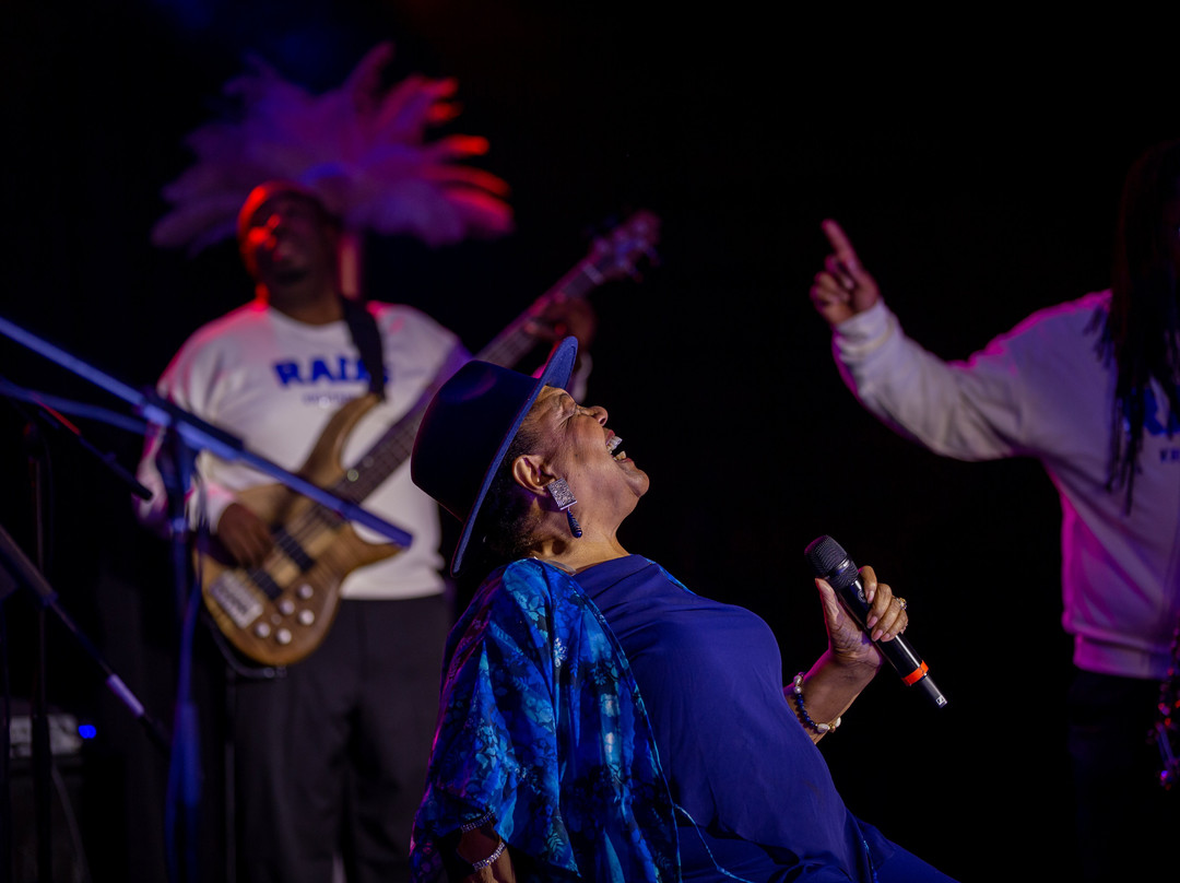 Project Row Houses-休斯顿必去景点