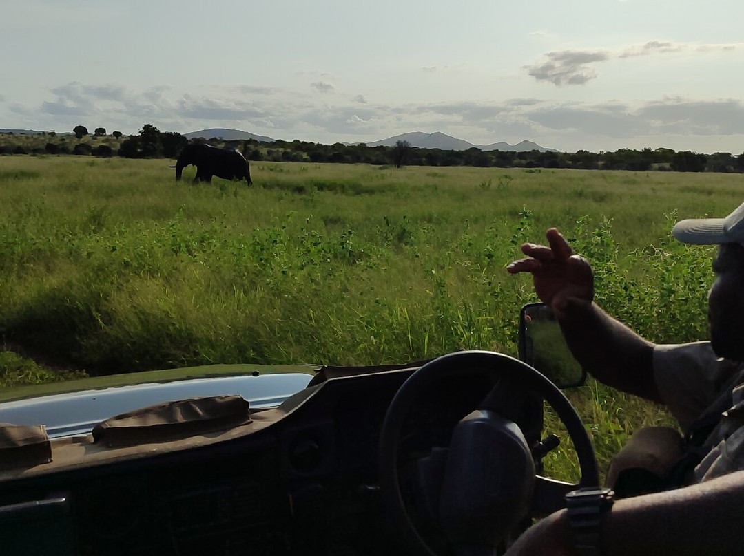 Bayala Private Safari Lodges主图