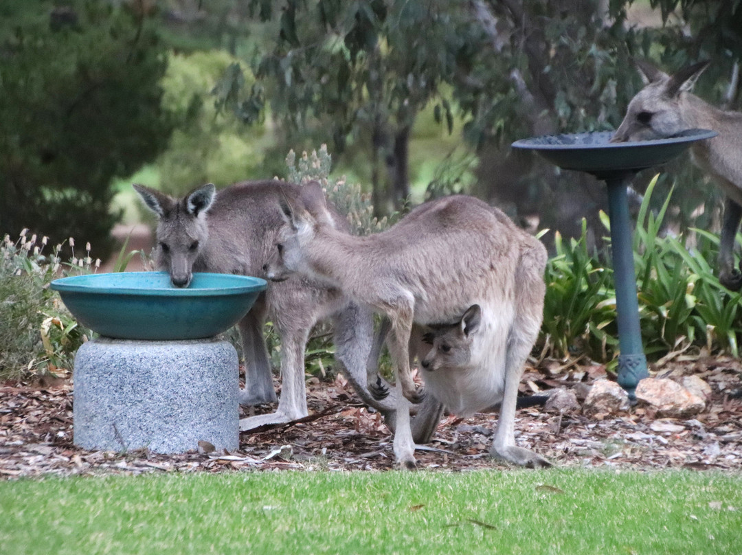 Commercial Golf Resort Motel主图