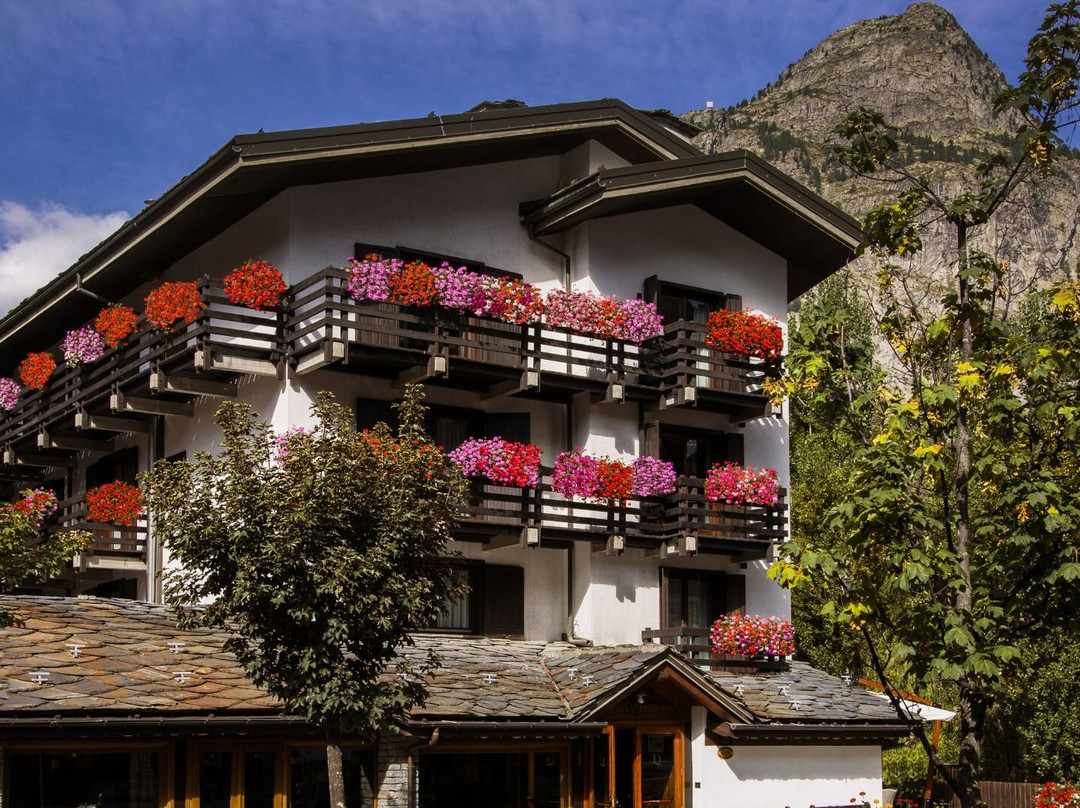 莱斯朱美奥克斯多米纳家庭酒店主图