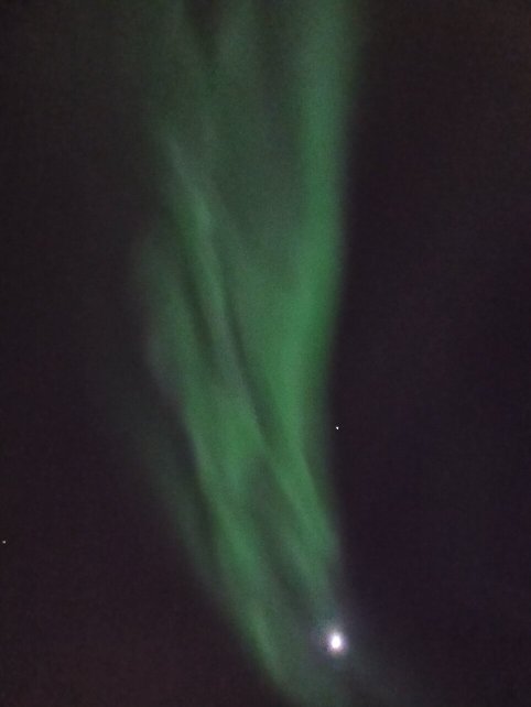 Scandic Bryggen-官方