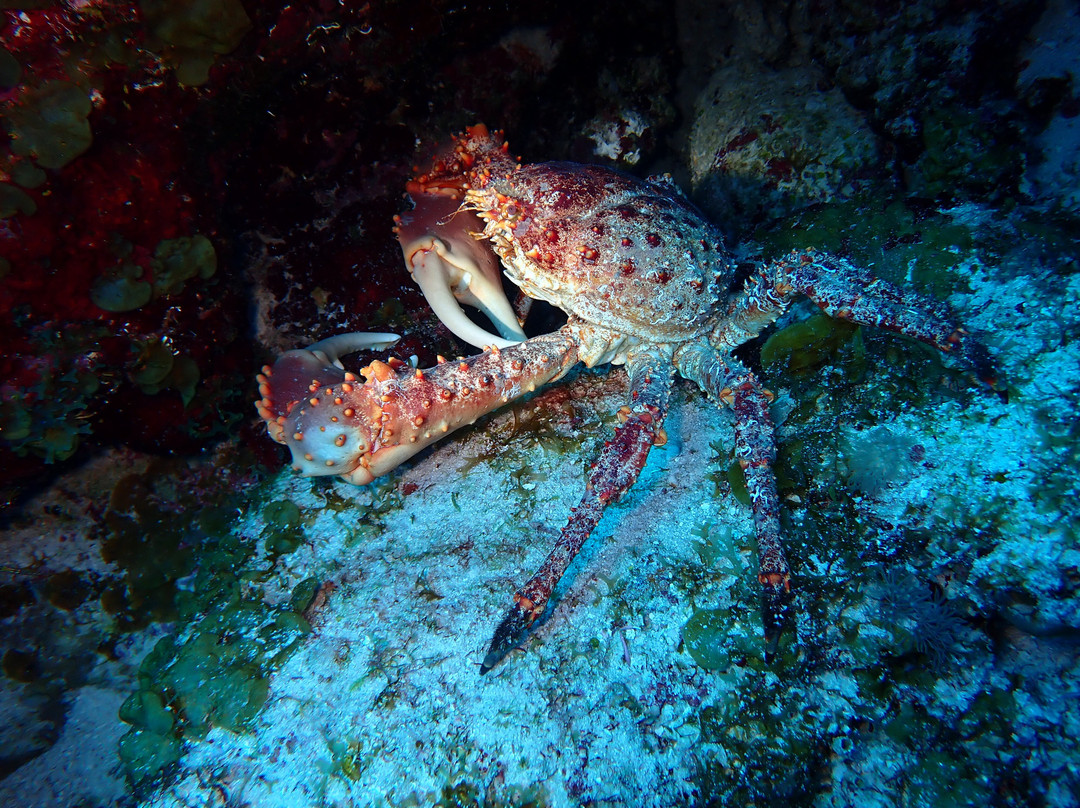 Porto Mari Sports-Sint Willibrordus必去景点