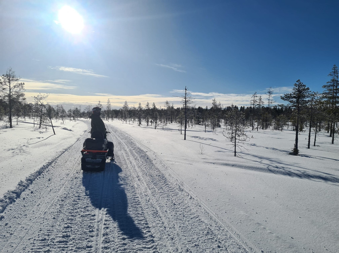 Aavasaksa Adventures-Ylitornio必去景点