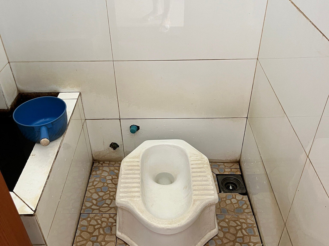 Skun Spider Sanctuary-斯昆必去景点