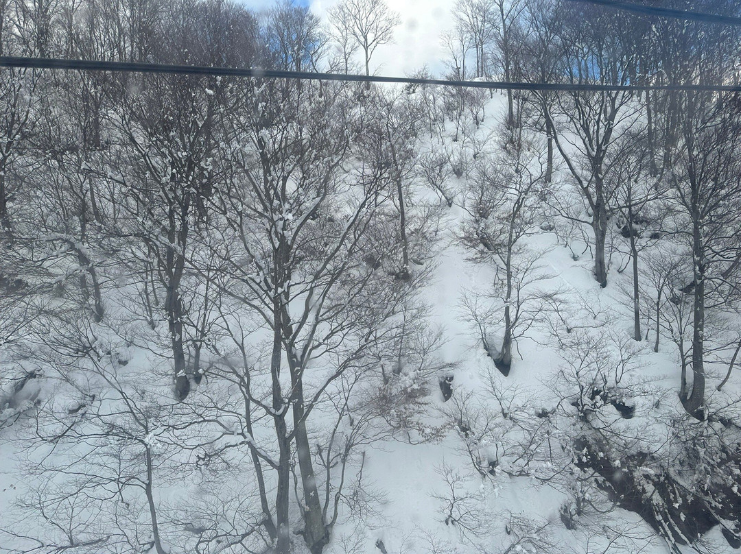 汤泽滑雪场景点图片