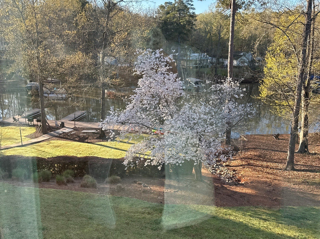 The Lodge on Lake Oconee主图