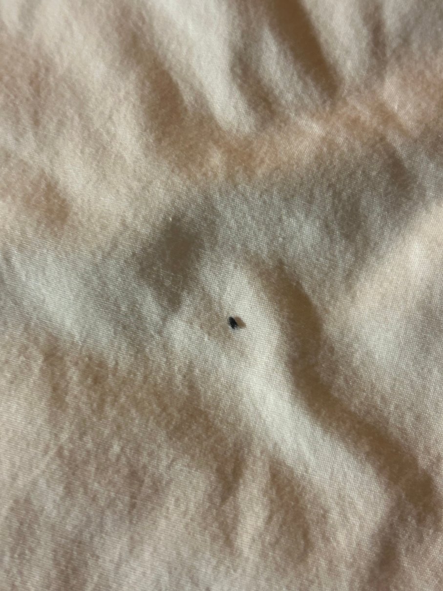 福尔松希尔顿花园旅馆-客卧