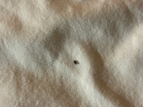 福尔松希尔顿花园旅馆主图