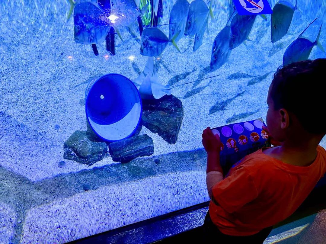 SEA LIFE Aquarium-卡尔斯巴德必去景点