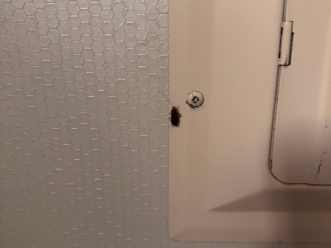 Homewood Suites by Hilton Laredo at Mall del Norte主图