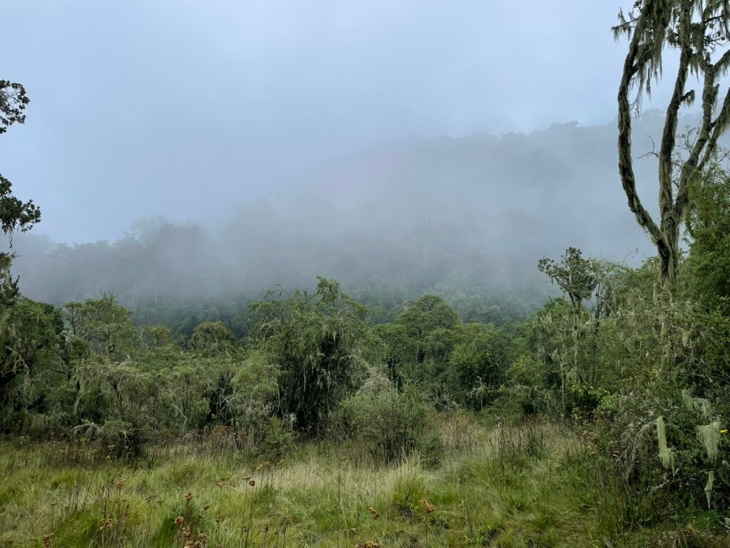 Beyond the Gorillas Experience-Ruhengeri必去景点