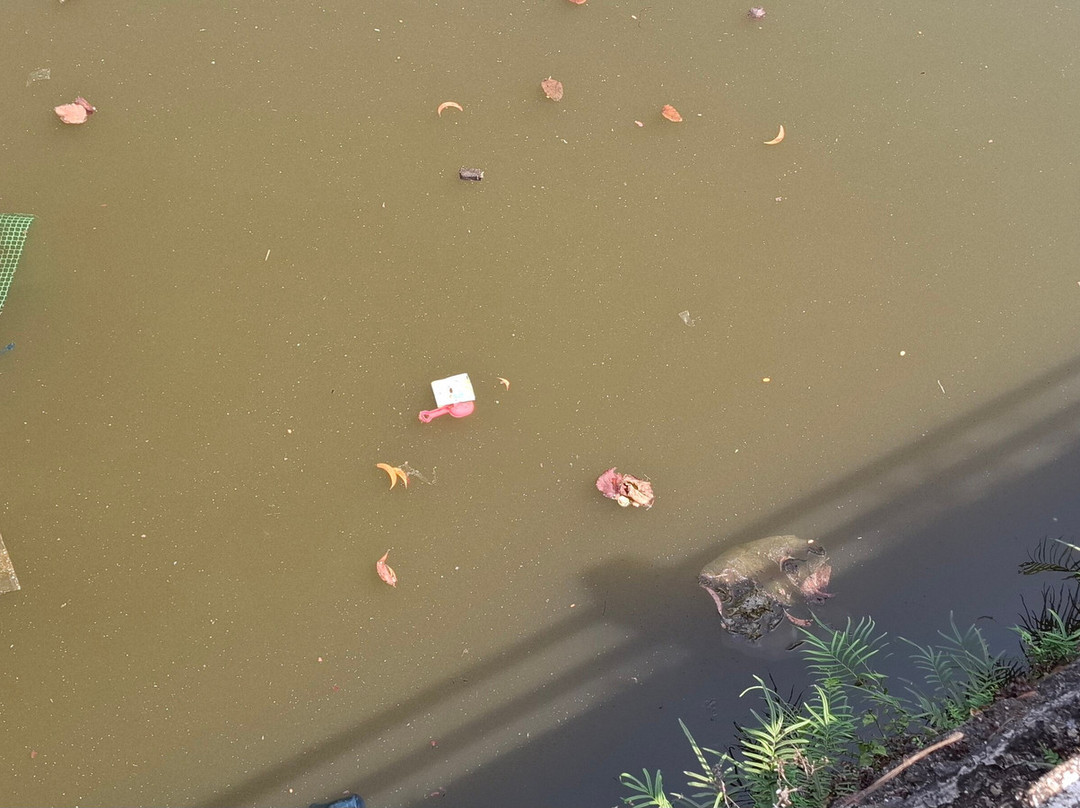 Gonsua Lake-马久达必去景点