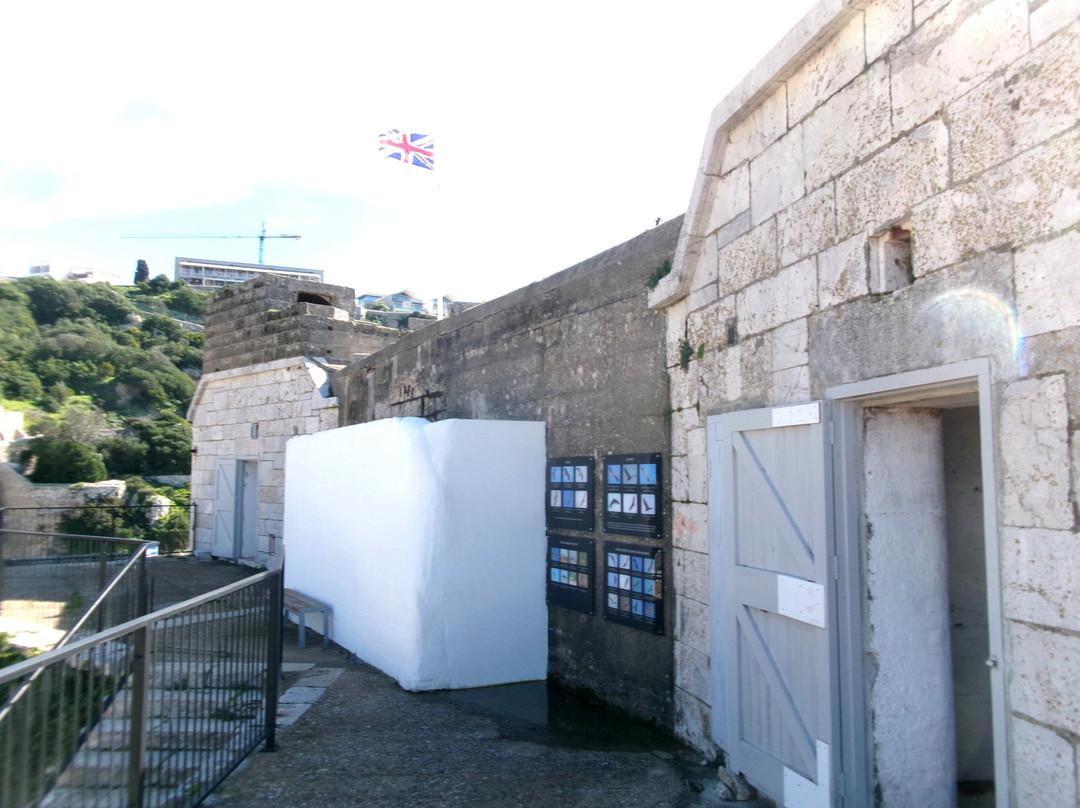 The Gibraltar Natural History Museum-Gibraltar Town必去景点