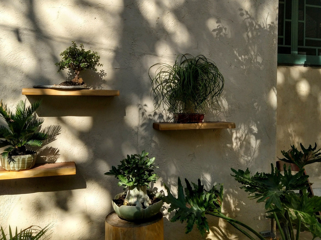 USC Pacific Asia Museum-帕萨迪纳必去景点