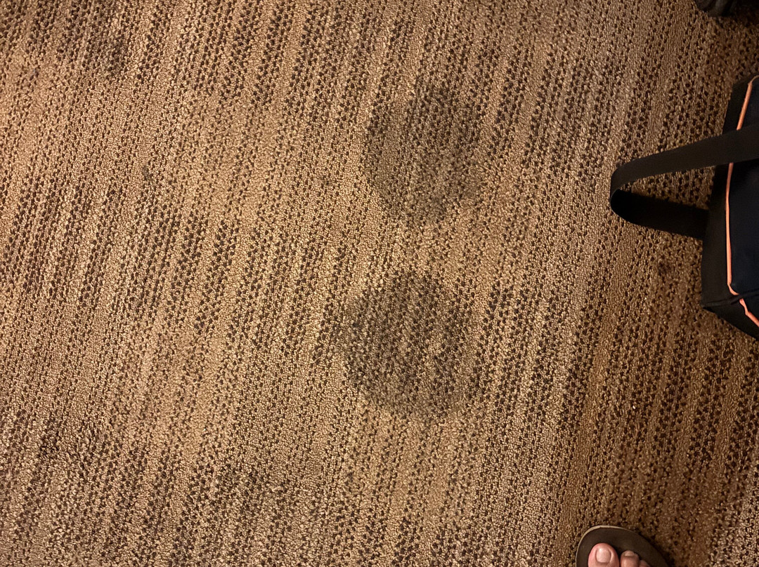 Extended Stay America - Los Angeles - La Mirada主图