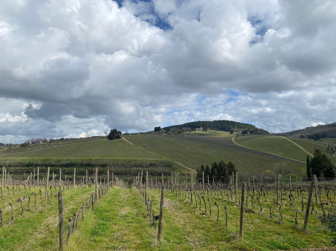 Scenic wine tours in Tuscany-Loro Ciuffenna必去景点