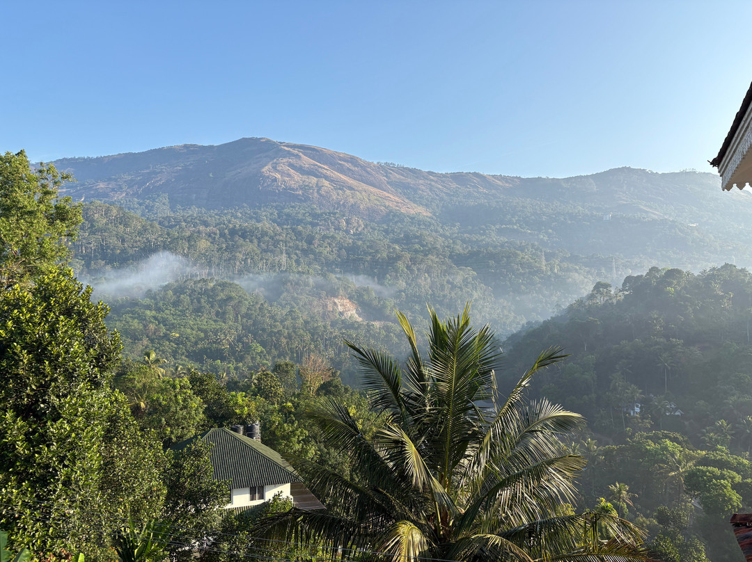 Ayurgem Ayurveda Yoga & Wellness Retreat Munnar景点图片