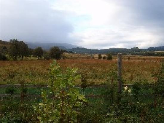 Deer View Bed & Breakfast主图