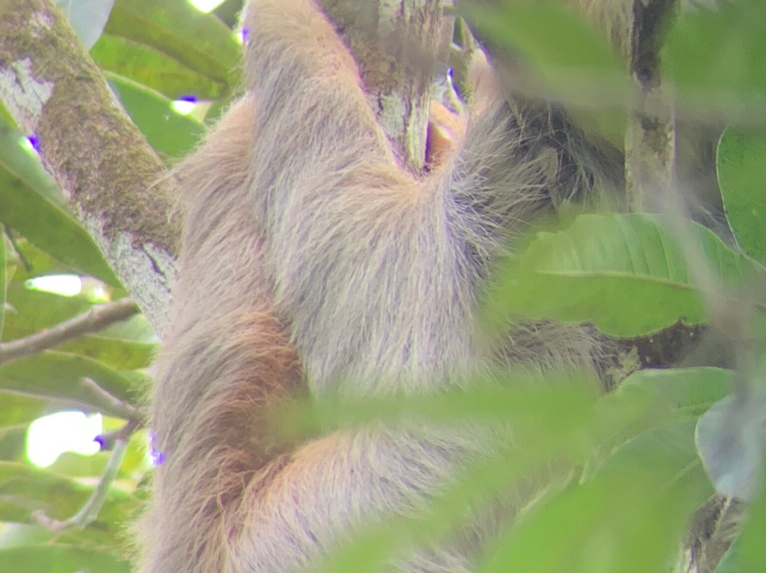 Hacienda Baru Lodge-主日镇必去景点