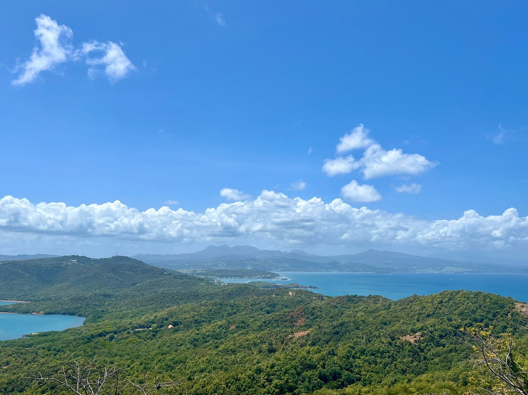 Presqu'ile de la Caravelle景点图片