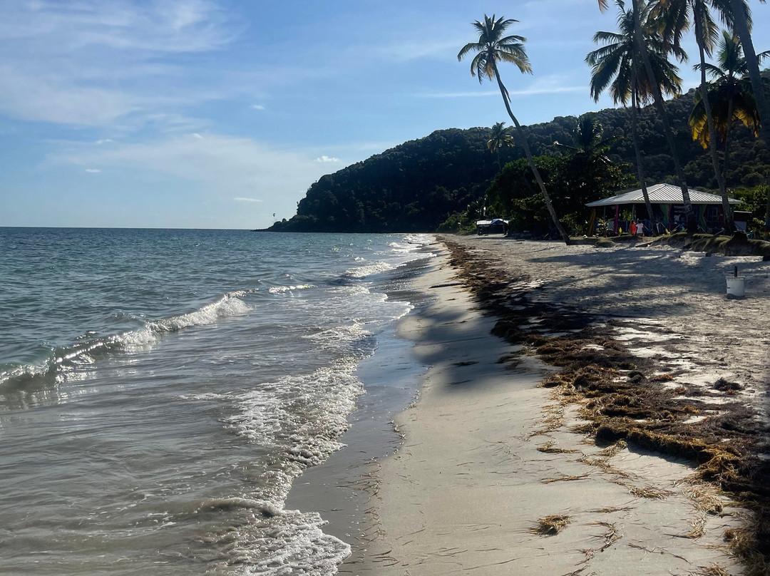 Playa Manzanillo景点图片
