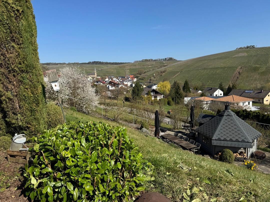 贝克斯坦奈立本霍夫酒店主图